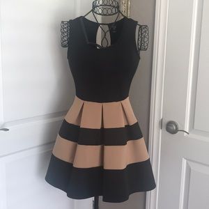Black and Tan Skater Dress